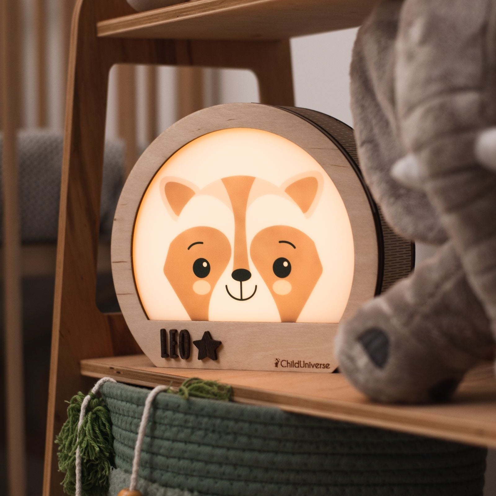 light night raccoon