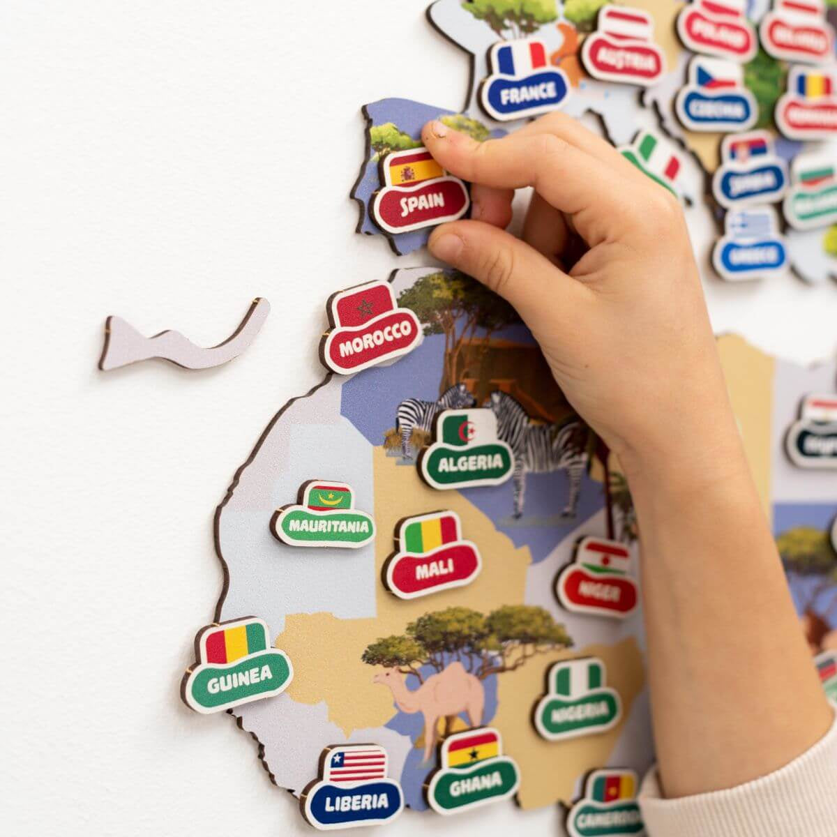 animal world map baby nursery