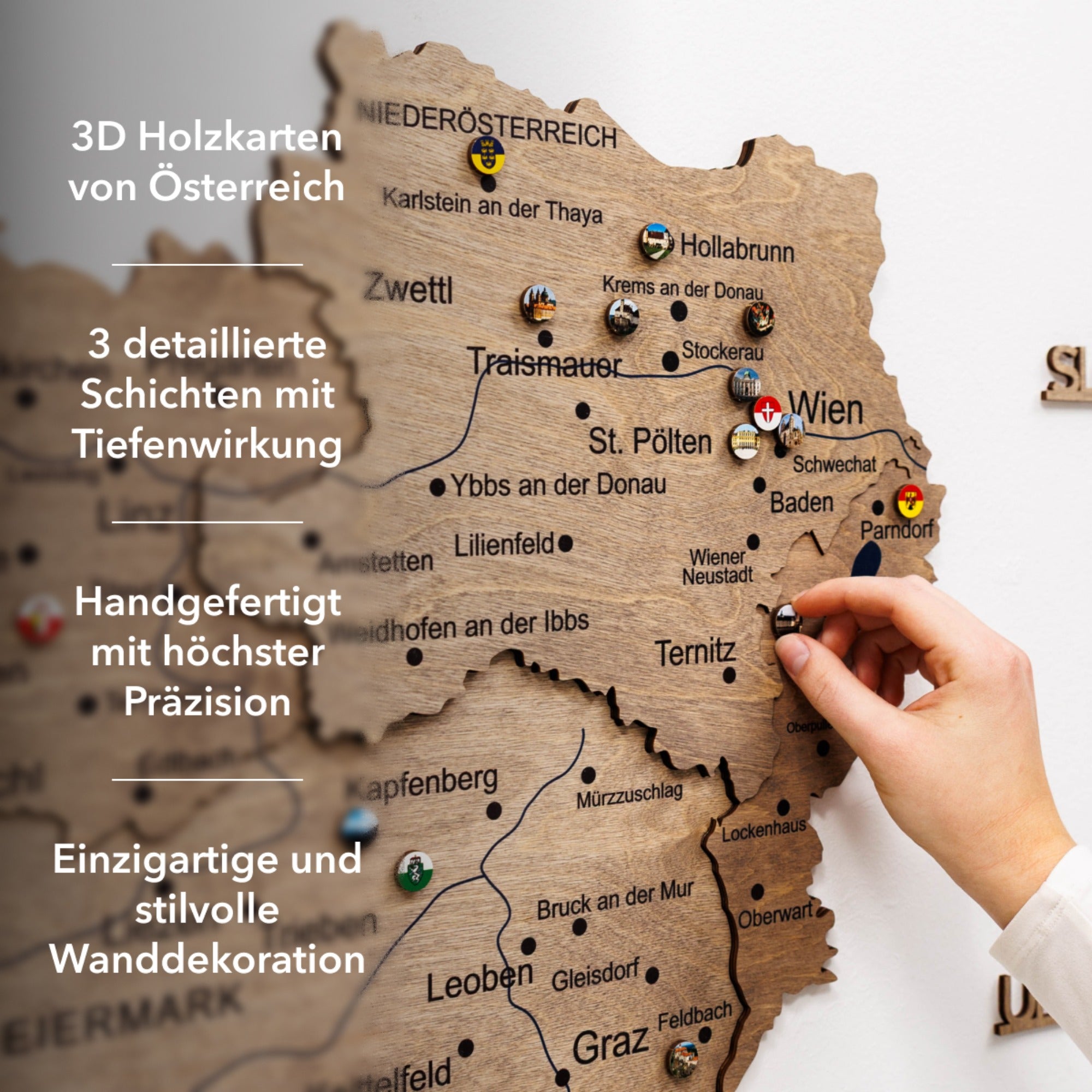 3D Austria Wood Map Terra