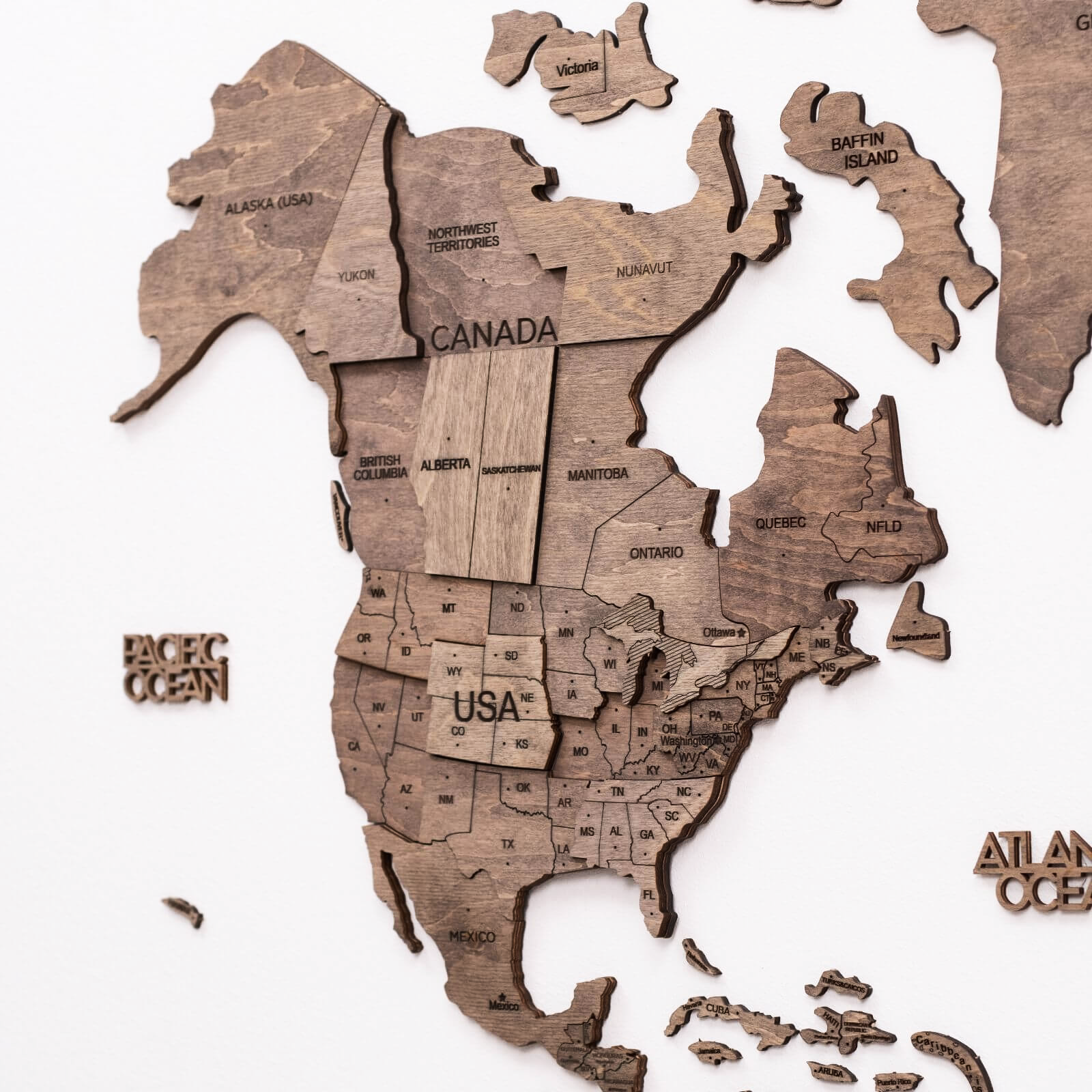 3d wooden map and flag pins