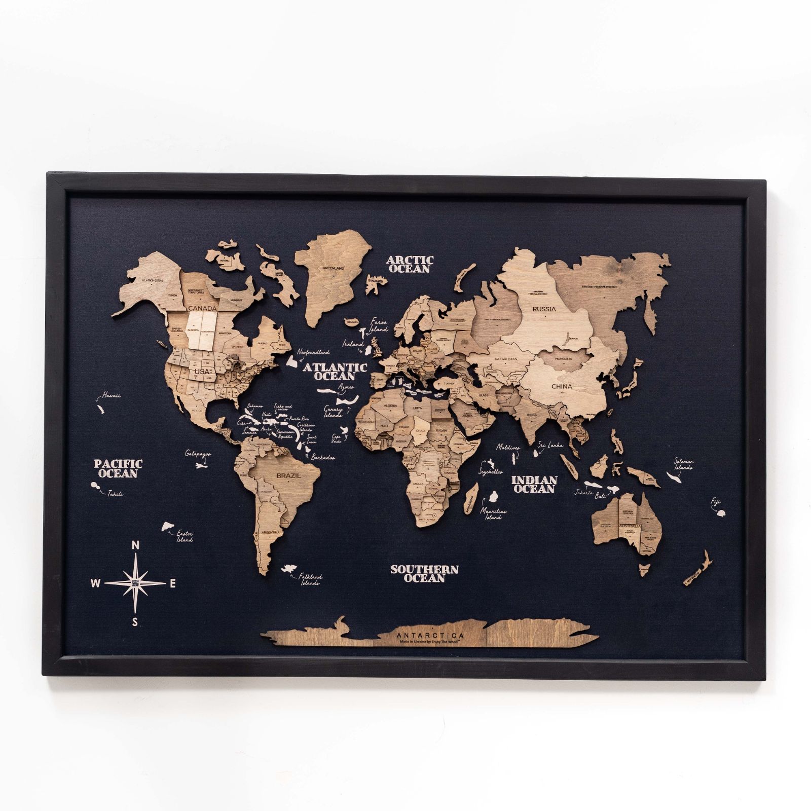 3D Wooden Single Panel World Map Terra