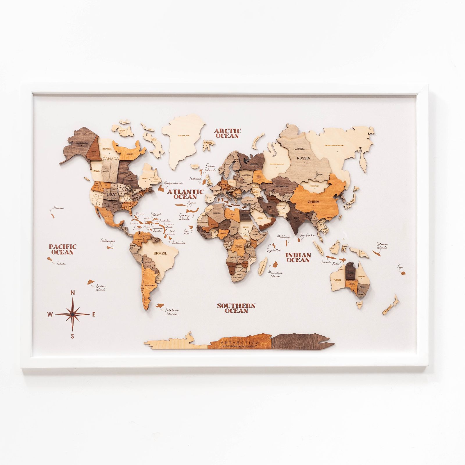 3D Wooden Single Panel World Map Multicolor