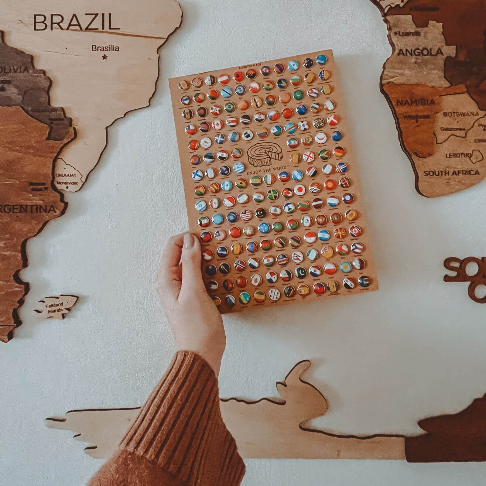 3d map and flag pins